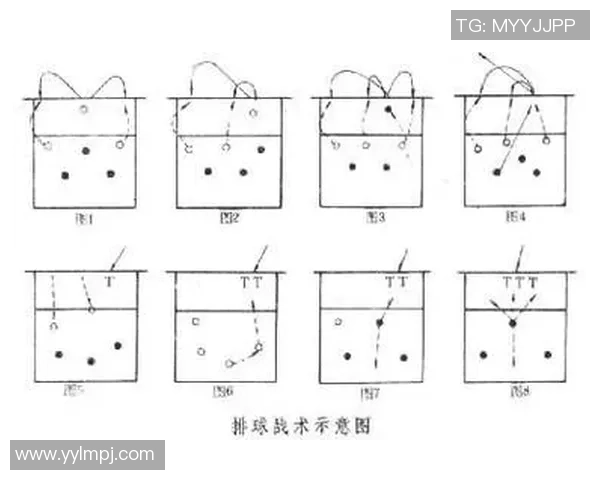 深圳排球队的节奏打法深度解析与战术创新探讨